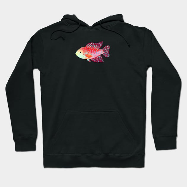 Killifish Hoodie by julianamotzko